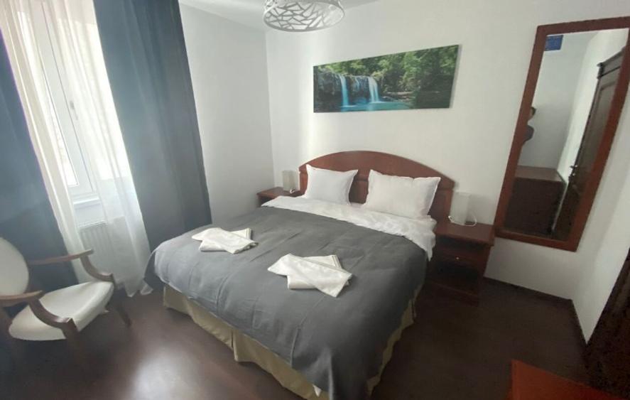 Pensiune 7 camere plus apartament zona Platos Paltinis