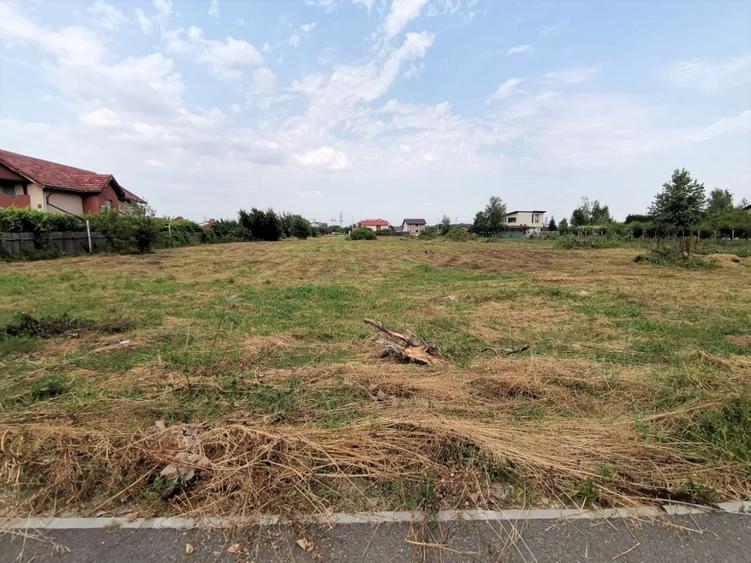 Inchiriere teren intravilan Cornetu / zona str. Trandafirilor, 4.500 mp, D: 31 m