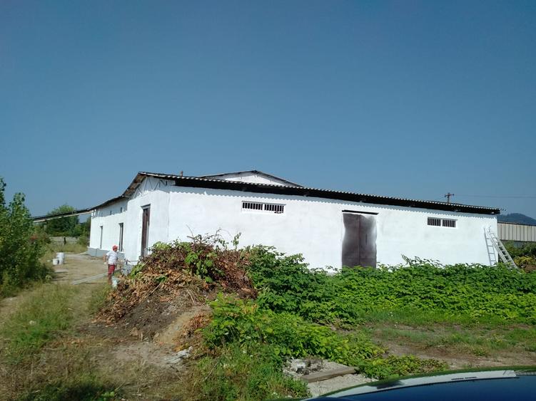 Hală industrială + teren 2.716 mp de vânzare în Baia Mare | Zonă industrială |