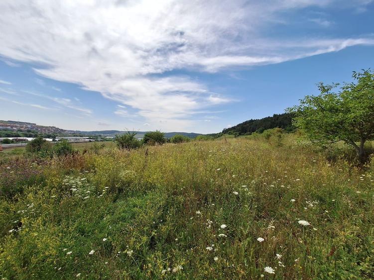 Teren intravilan 5.800 mp, Baciu Vatra Satului Vechi, Panorama superba