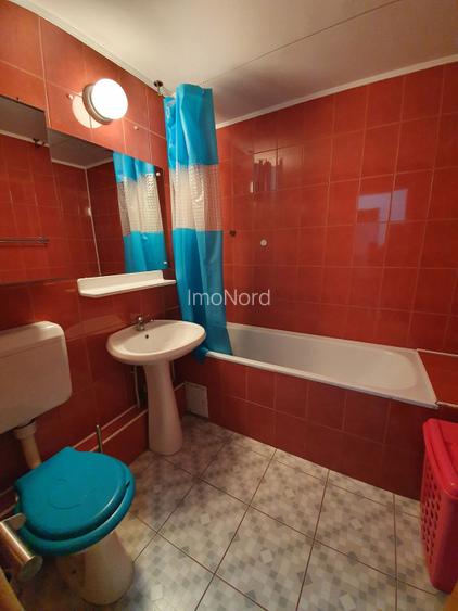 Inchiriere 2 camere Teiul Doamnei - 11