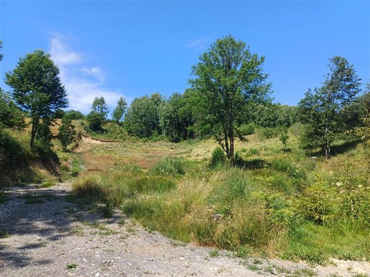 Teren Intravilan in zona Trei Ape, 6889 Mp., 14,5 Euro Mp., Brebu Nou