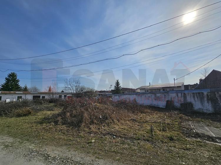 Ocazie: Teren + Hale + Casa, Centrul Cisnadiei, 6313 mp. |VIDEO