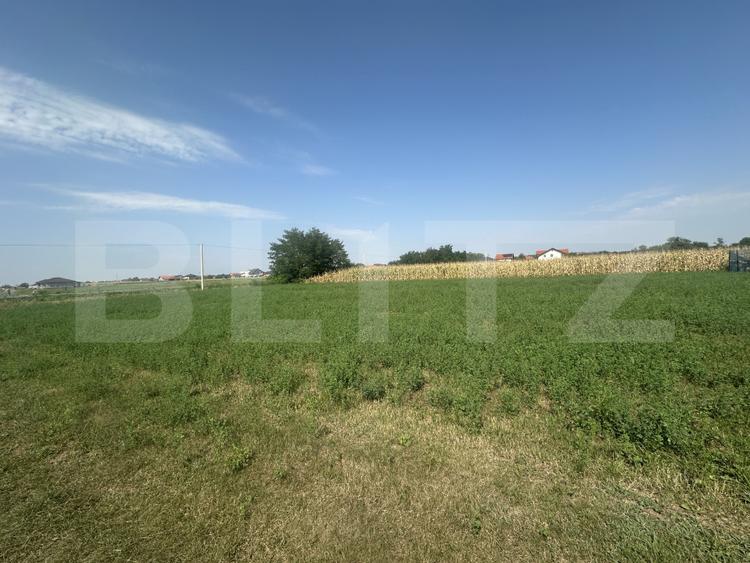 Teren intravilan, 1300mp ,Păulești