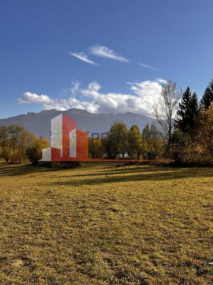 Teren intravilan 500 mp | Tohanița, Bran | Vedere | Ideal pentru caban