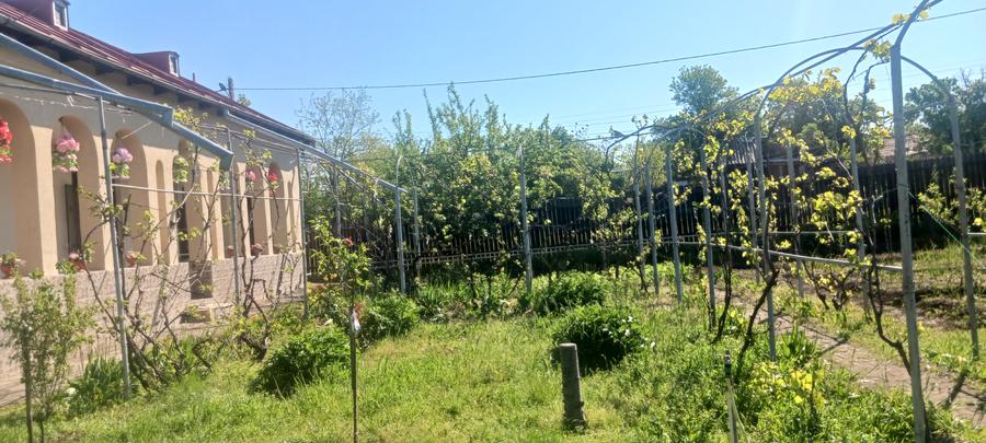 Casa de vanzare Comuna Viisoara-Judetul Teleorman