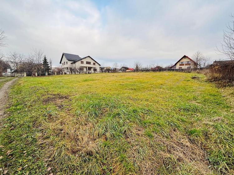Teren intravilan 1227 mp I Scheia I Suceava