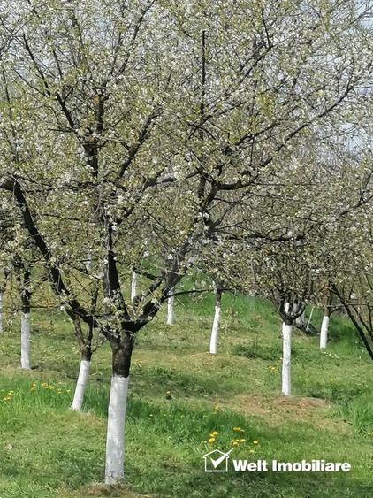 Casa de vanzare – Sat Elciu, com. Panticeu