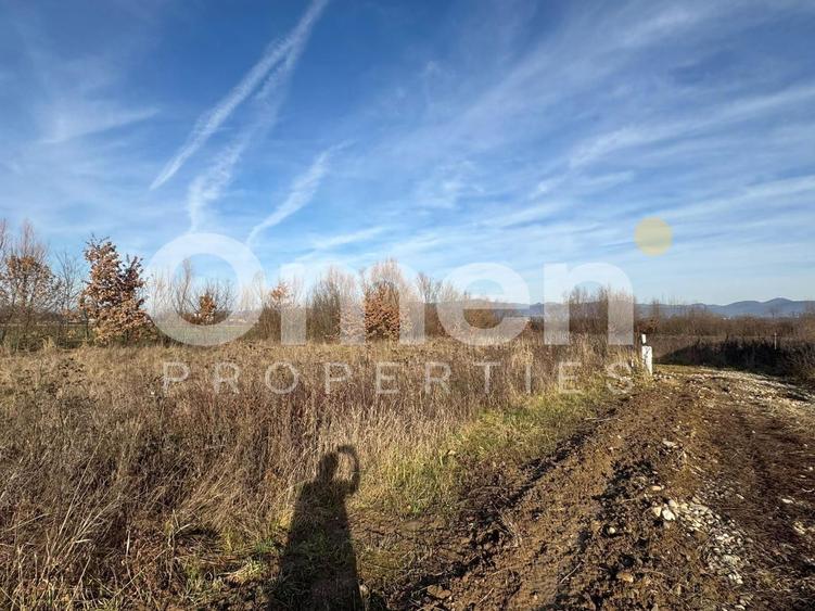 Teren de vânzare 8,9 ari + cotă parte drum – proiect duplex aprobat