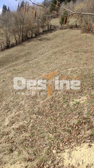 Teren 5000 mp, ideal cabana, pensiune,  in zona de interes  turistic  Rucar-Bran - 7