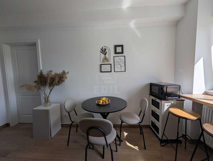 Apartament de o camera, Dumitru Mocanu