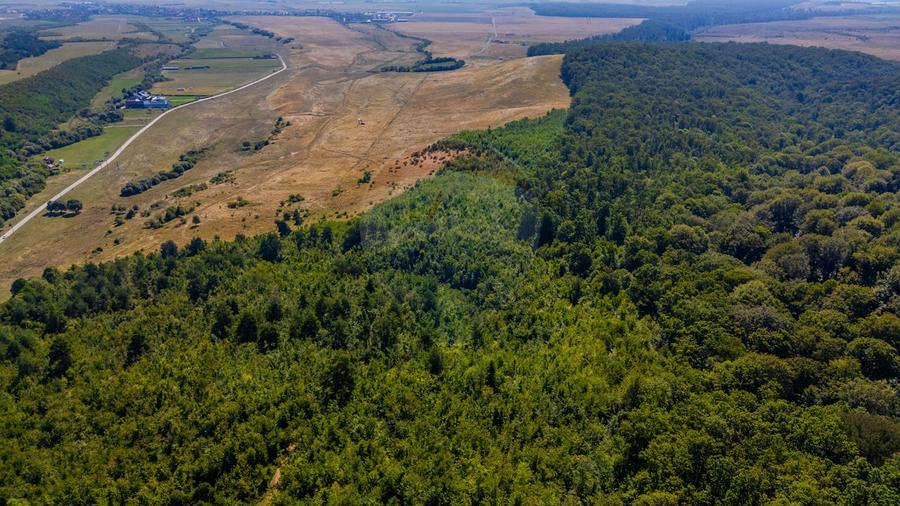 Teren 6,000mp Crizbav / Strada principala