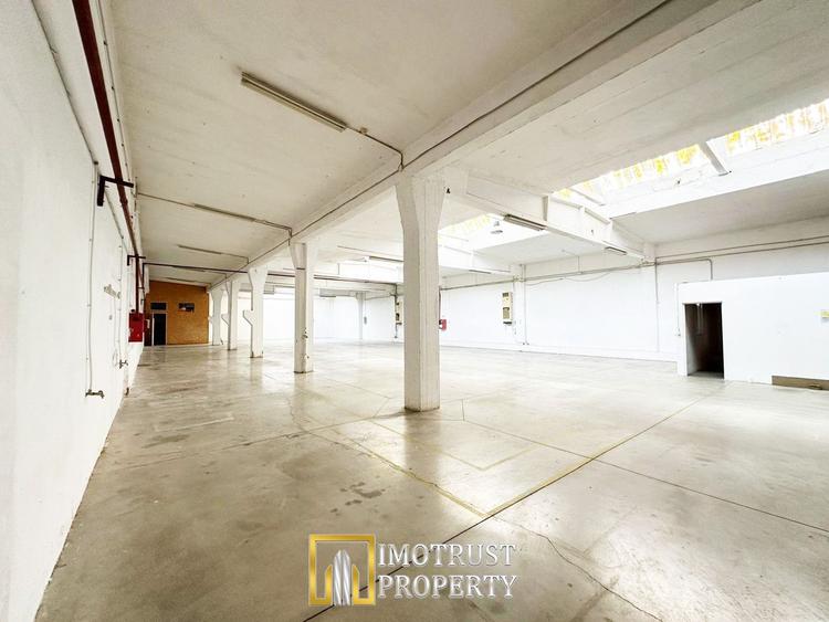 Hala industriala 675 mp, Arad central, acces TIR ideal depozit logitic