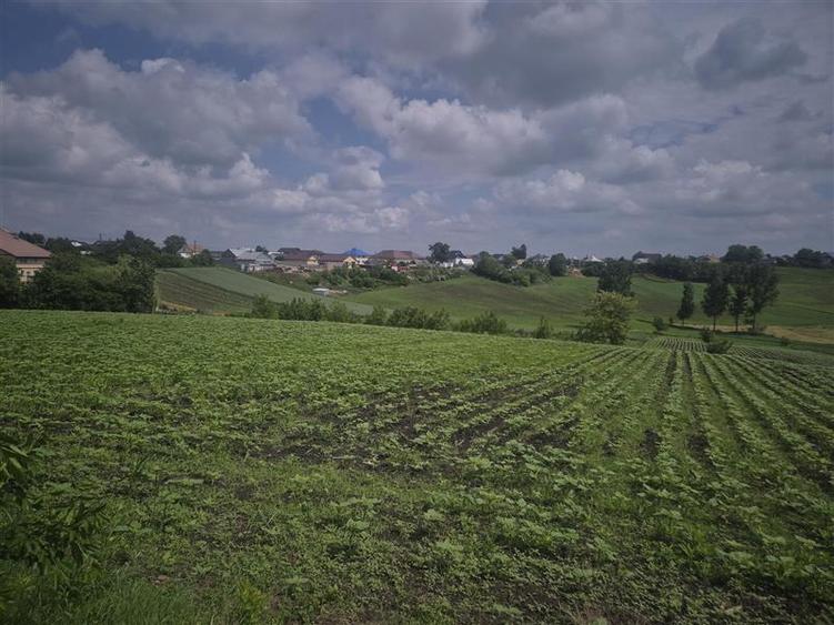 Teren intravilan Moara Nica - zona Scolii