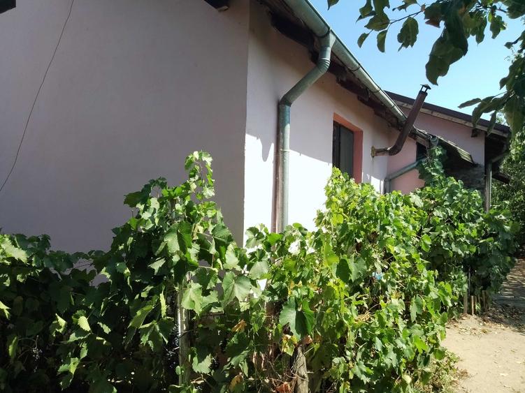 Vind casă nouă cu mansarda