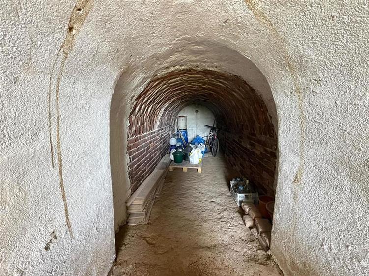 TEREN INTRAVILAN CU PIVNITA | 884 MP | ZONA EPISCOPIA | ORADEA - 3