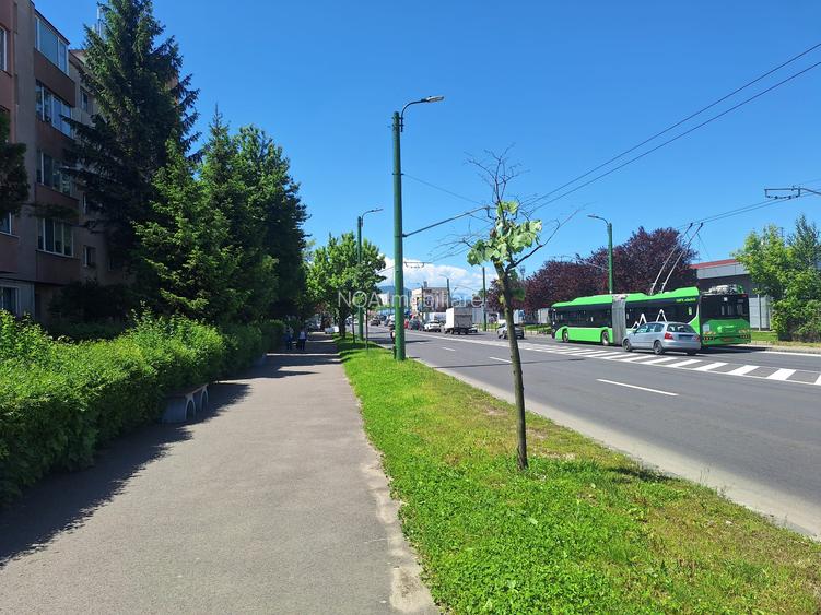 Spatiu Comercial | Brasov | Str. Harmanului | Lidl - 7