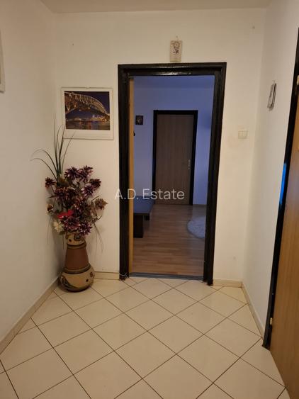 3 Camere Resita Parter Inalt Centrala Proprie - 6
