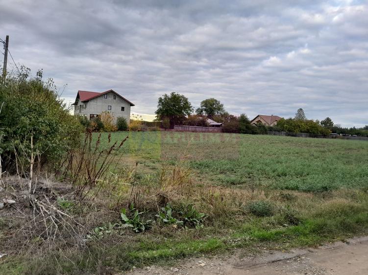 DE VANZARE TEREN 2000 MP  -  COSERENI( il )