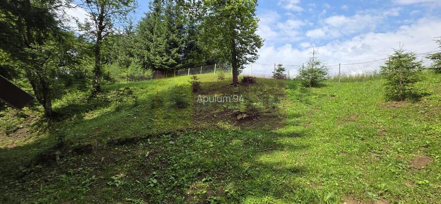 Vila din padure in Valea Doftanei - 45