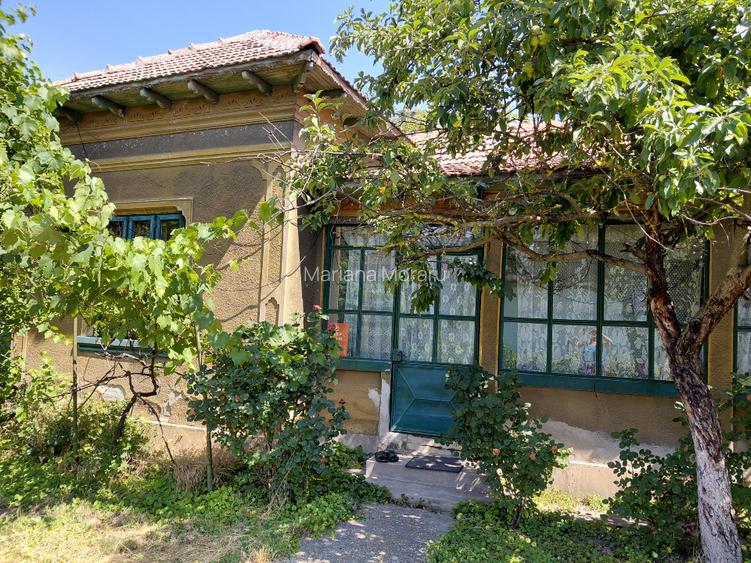 Vanzare casa si curte - 4