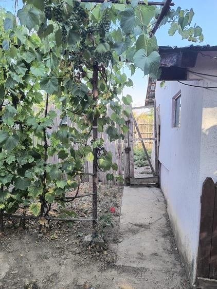 Casa de poveste si gradina 1550mp aproape de Craiova - 2
