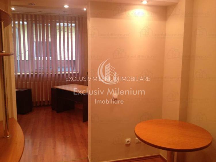 Parter Apartament la Vila Ideal Birouri Domenii -Banu Manta -Grivita - 5