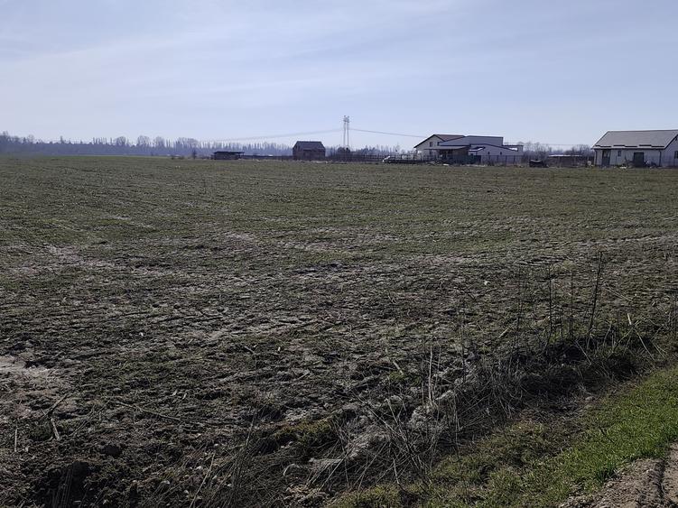 FARA COMISIOANE in Sabareni teren in suprafata de 23200mp gaze curent la teren