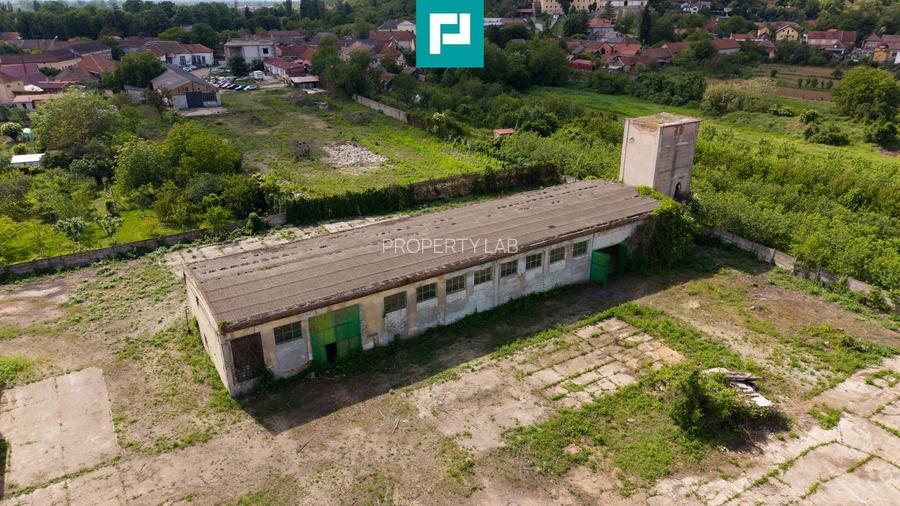 Hală spațioasă în Lipova oportunitate investiție - 20