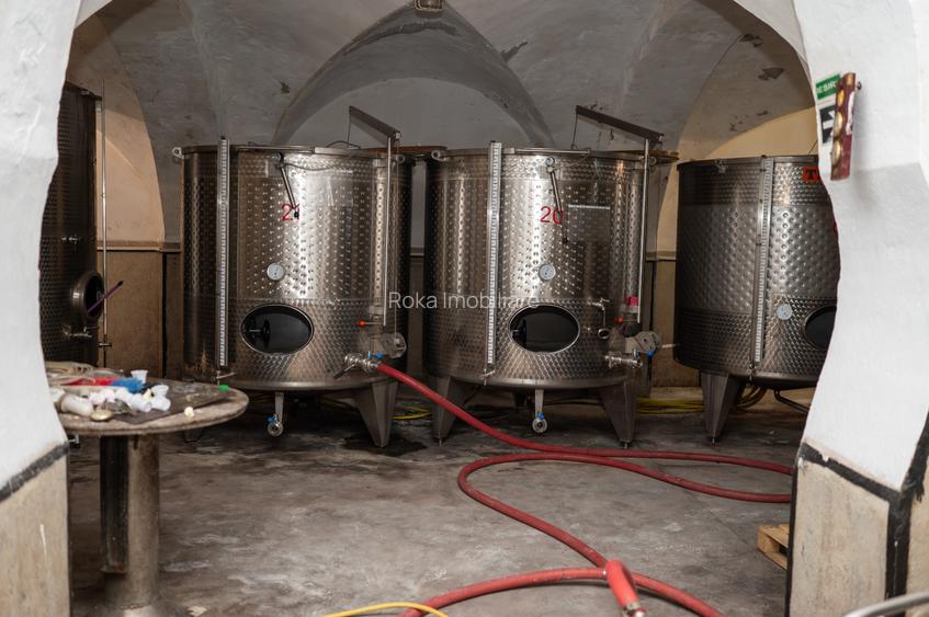 CRAMĂ PREMIUM DE VÂNZARE -60 HA- CONAC ISTORIC- PODGORIA DRĂGĂȘANI - 16