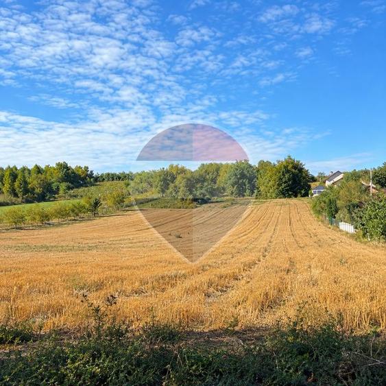 Teren intravilan 9012mp | Săucești | Oportunitate de Investiție