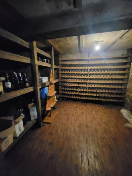 CASA P+1 ÎN BALOȚEȘTI – LÂNGĂ PĂDURE, TEREN 700 MP, LIVADĂ, CRAMĂ, BECI ȘI CURTE