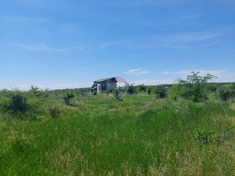 Teren intravilan, un colț de liniște, aflat în Petrești, Corbeanca