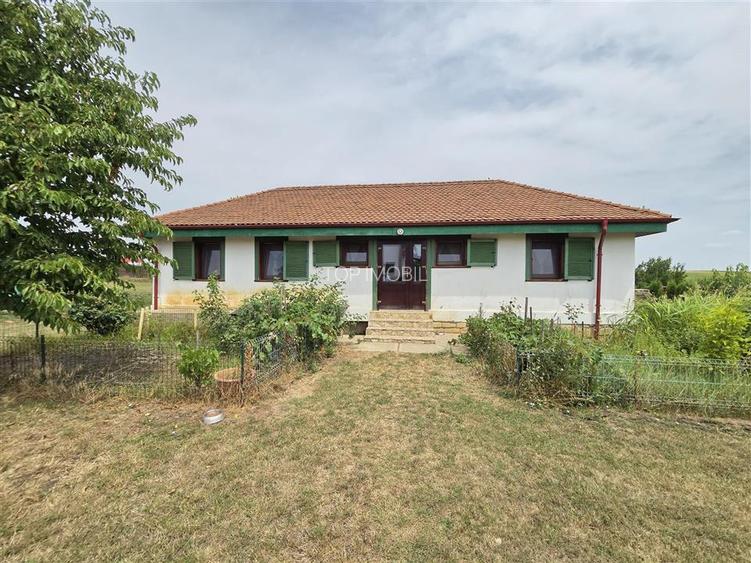 Proprietate Deosebita cu 4600 Mp Teren, 2 Case, Panouri Fotovoltaice si Sera - 7