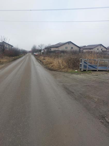 Clinceni - Olteni, Fortului, Stradal 5180 mp