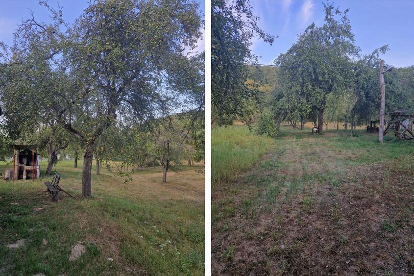 Teren de vacanță 5600 mp cu cabană, Utilitaiile Căsoaia jud Arad