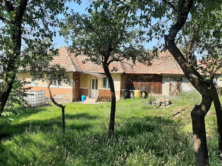 Teren cu utilitati si veche in Rediu