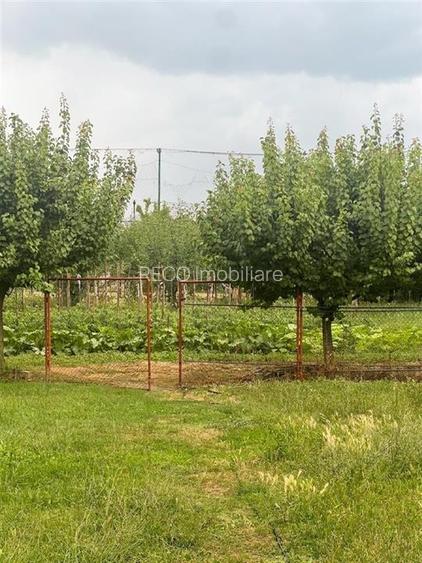 RECO Casa gata de mutat, zona Tileagd, - 9