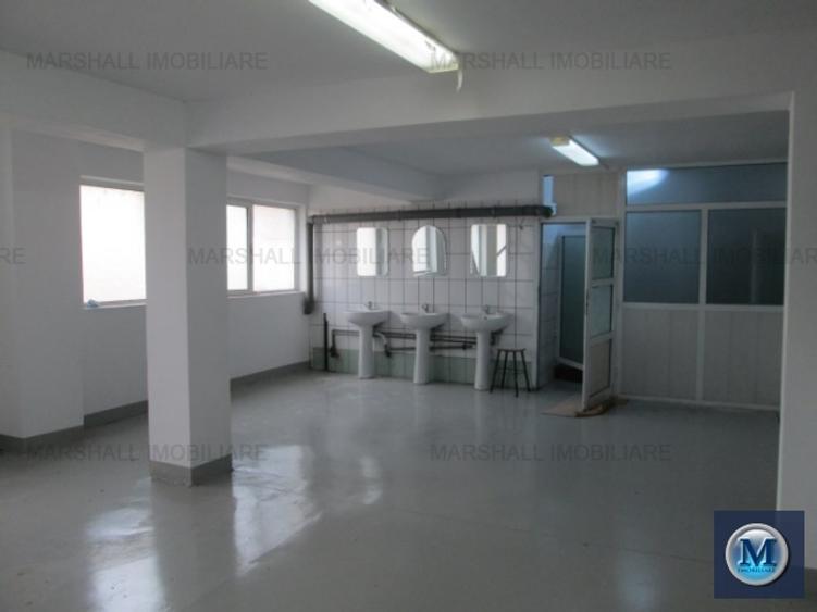 Spatiu industrial de inchiriat in Filipestii de Targ, 2500 mp #12438