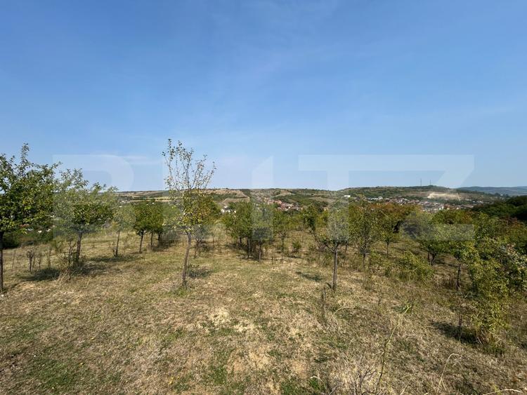 Teren extravilan de vanzare, 5.800 mp, zona Aiud