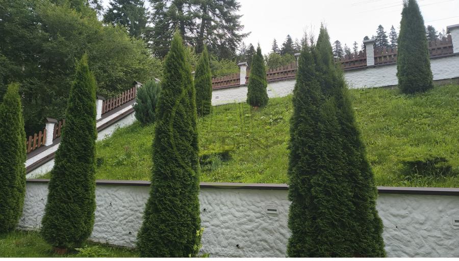 Penthouse cu vedere spectaculoasă către Masivul Bucegi | Predeal –