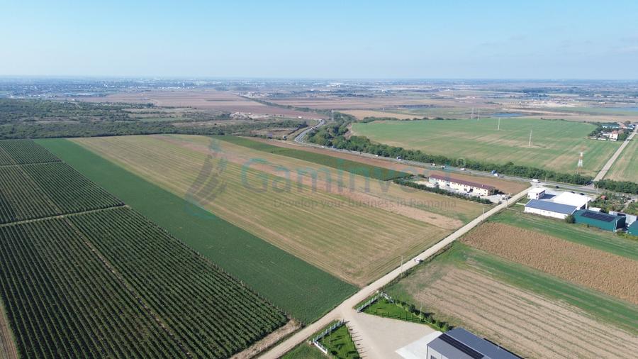 Teren intravilan de vanzare, 66400 mp, langa Oradea, Bihor