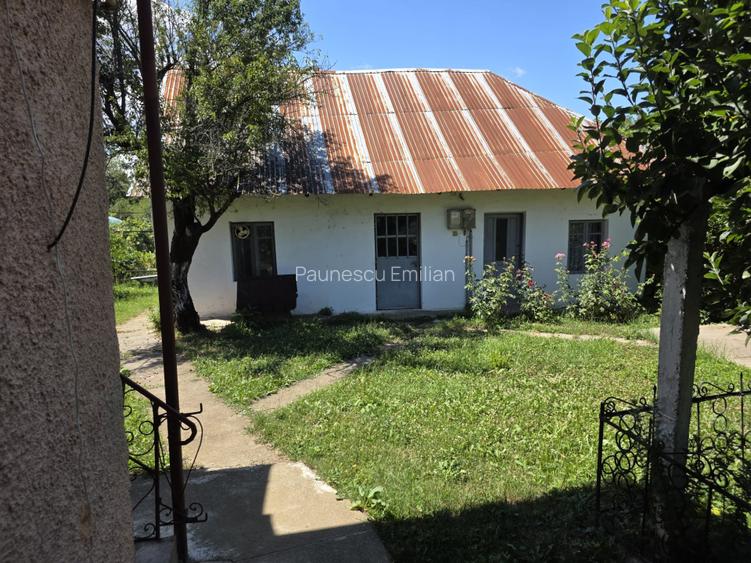 Casă renovată și Teren 2200 mp | Curtișoara, Bumbești-Jiu | Potențial Investiție - 15