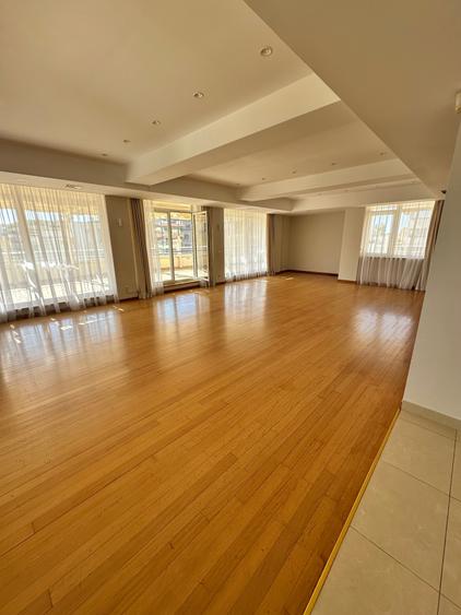 Apartament spatios Herastrau