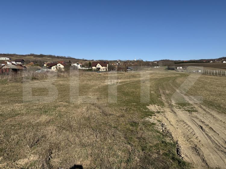 Teren intravilan in localitatea Hereclean in suprafata de 5800 mp - 8