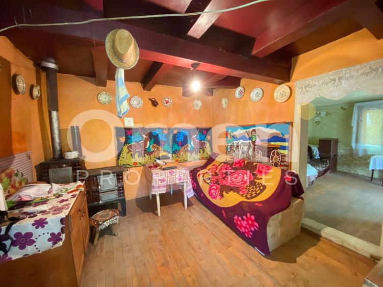 Casa de vanzare in Berinta de 50 mp cu anexa si 22 de ari teren