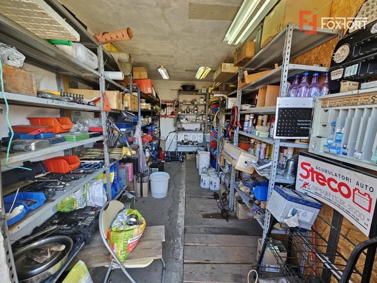 Oportunitate afacere: Spatiu industrial + Casa de locuit - Bogdanestilor - 20