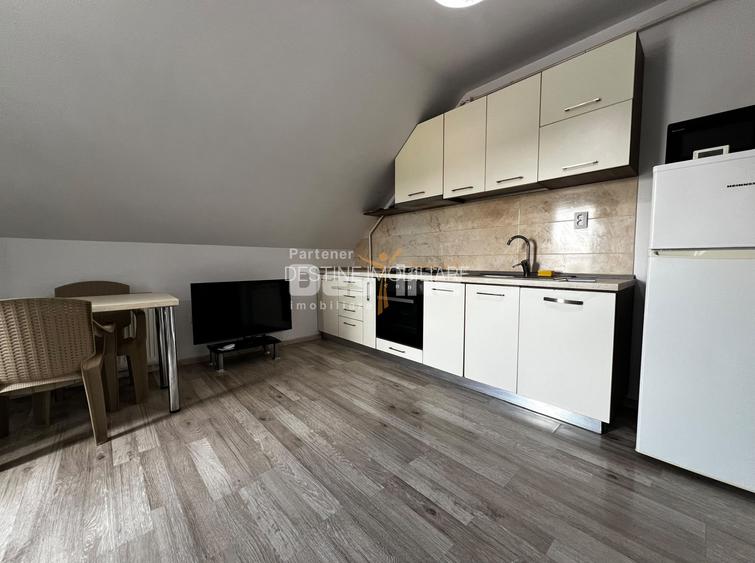 Apartament cu 2 camere și terasă, mobilat - Palas Mall - 5