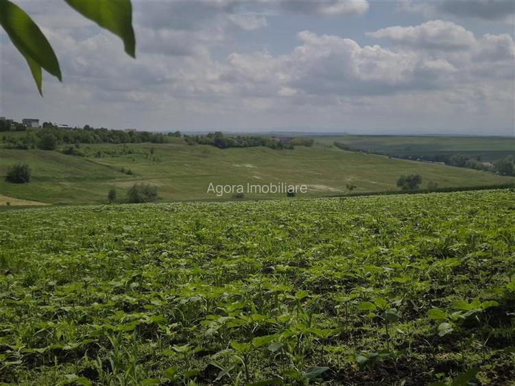 Teren intravilan Moara Nica - zona Scolii - 9