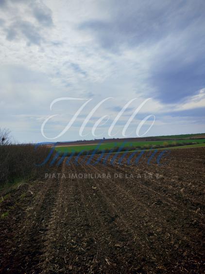Teren 3700 mp, Intravilan Comana, sat Budeni, Jud. Giurgiu
